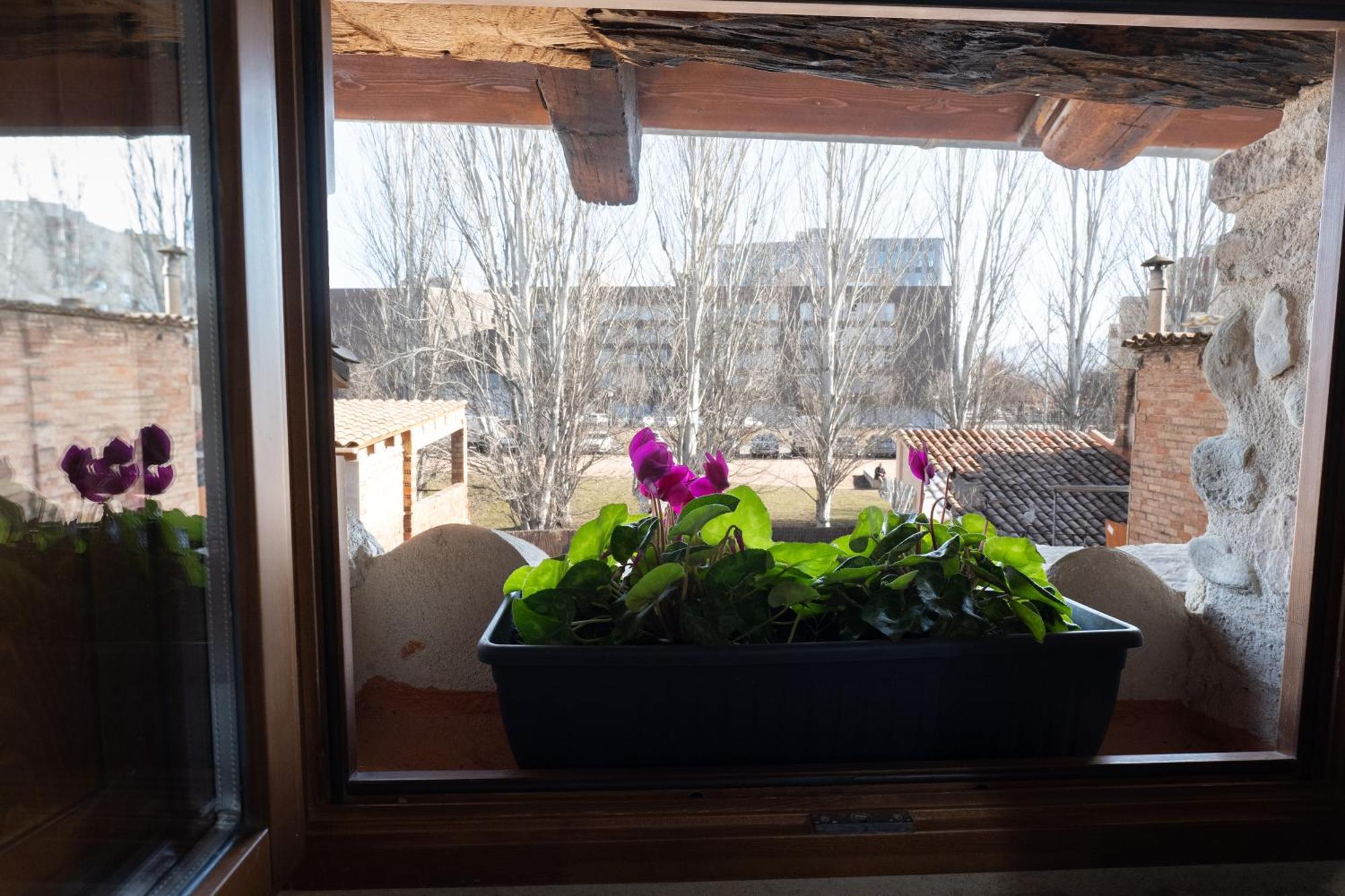 Niu De Queralt Appartement Vic Buitenkant foto
